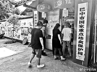 小猫头鹰“放归山林”引质疑 警方回应已送保护园