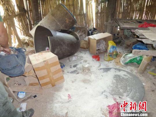 云南一男子干活时遭野象袭击致11根肋骨骨折